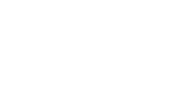 골든 넷 logo